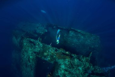 Freediver adam Dalış, batık, sualtı