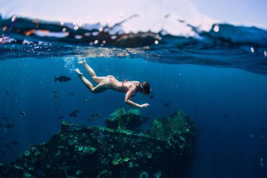 Kadın özgür dalgıç tropikal okyanusa batık dalış