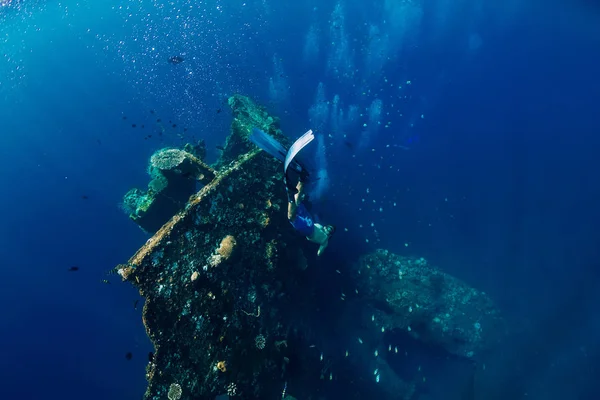 Ücretsiz dalgıç adam Dalış, batık, sualtı