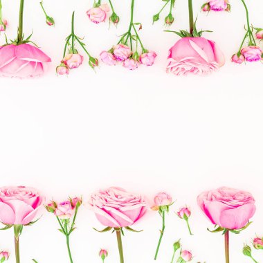 Çerçeve çiçek gül çiçek ve beyaz zemin üzerine tomurcukları ile. Düz yatıyordu, en iyi görünümü.