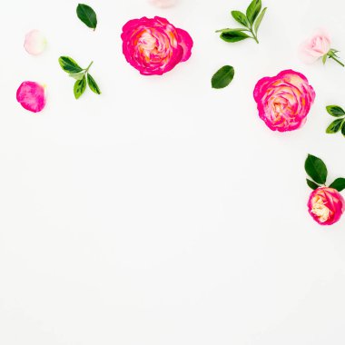 Pembe gül çiçek ve beyaz zemin üzerine yeşil yaprakları ile çerçeve. Düz yatıyordu, en iyi görünüm. Kopya alanı