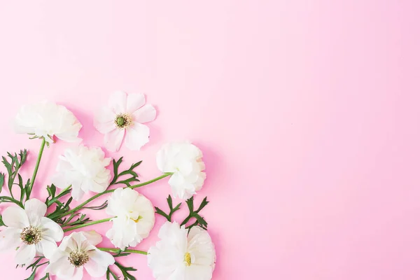 Белые Цветы Лепестки Розовом Фоне Пастели Квартира Лежала Вид Сверху — стоковое фото