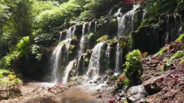 Art arda sıralı şelale tropikal orman içinde. Bali, Endonezya. Havadan görünümü