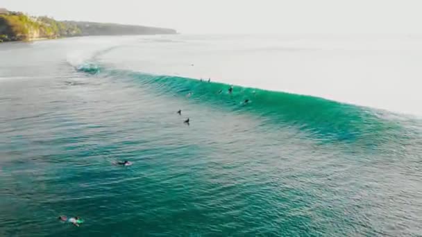 Flygfoto Över Surfare Och Blå Fat Våg Havet Surfing Och — Stockvideo