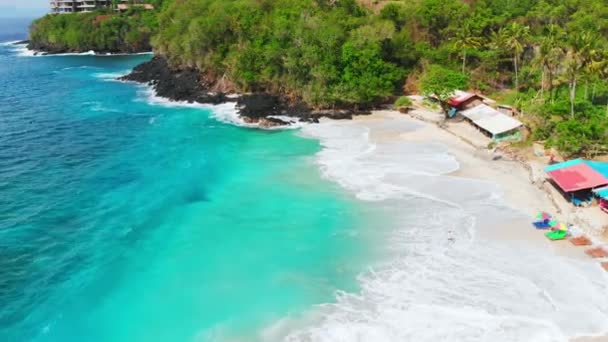 Praia Tropical Com Palmeiras Mar Azul Turquesa Ondas Vista Aérea — Vídeo de Stock