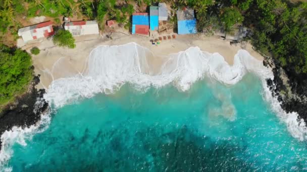 Praia Tropical Com Palmeiras Mar Ondas Vista Aérea Ilha Paradisíaca — Vídeo de Stock