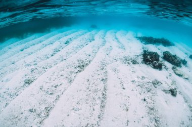 Sualtı okyanusta. Mavi su ve Cennet Adası beyaz kum