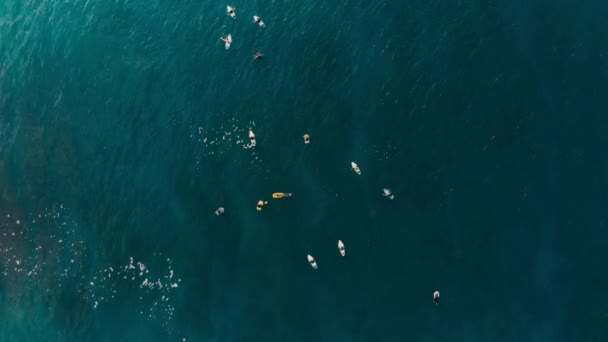 海でサーファーの空撮 平面図です サーフィンと波 — ストック動画