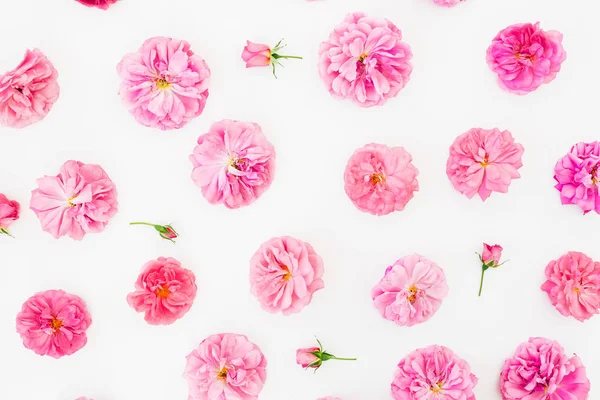 Padrão Floral Feito Rosas Rosa Flores Pétalas Sobre Fundo Branco — Fotografia de Stock