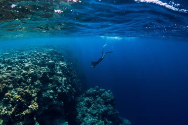 Ücretsiz dalgıç adam dalış okyanus, kayalar ve mercan sualtı görünüm