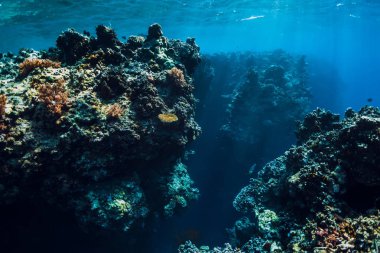 Mercan mavi okyanus sualtı kayalar. Menjangan Adası, Bali