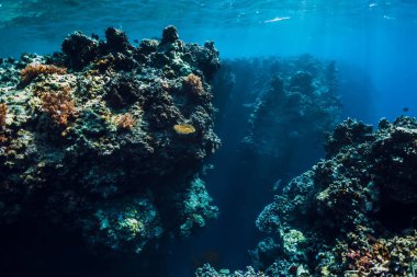 Mercan mavi okyanus sualtı kayalar. Menjangan Adası, Bali