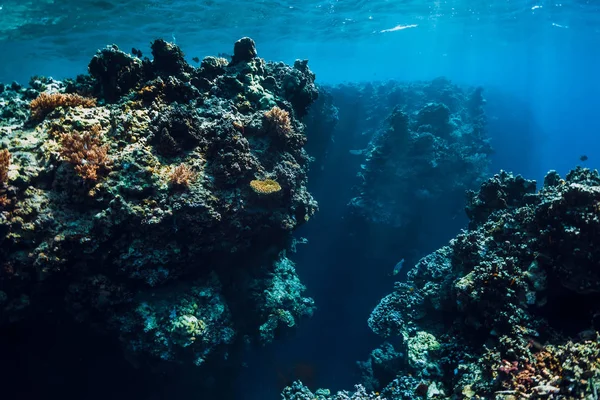 Rochas Subaquáticas Com Corais Oceano Azul Ilha Menjangan Bali — Fotografia de Stock