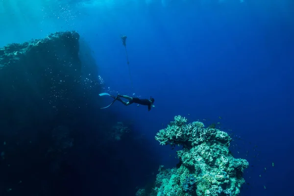 Free Diver Dive Ocean Underwater View Corals Rocks — Stock Photo, Image