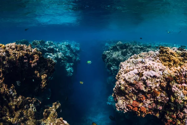 Rocas Submarinas Con Corales Océano Azul Parque Nacional Menjangan Island — Foto de Stock