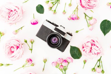Pembe gül çiçekleri beyaz arka plan üzerinde eski retro kamera ile. Düz yatıyordu, en iyi görünüm. Sevgililer günü kavramı