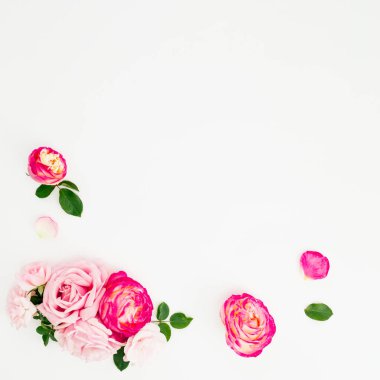 Pembe gül ile çerçeve çiçek çiçekler ve beyaz arka plan üzerinde bırakır. Düz yatıyordu, en iyi görünümü.