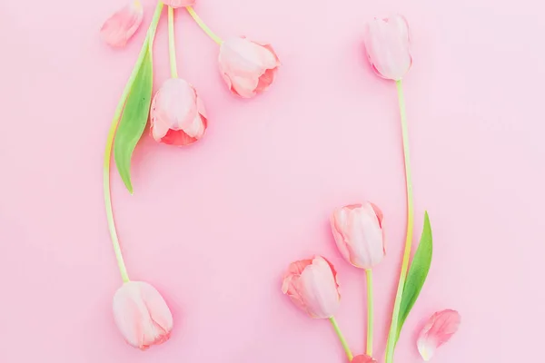 Цветочная Рамка Цветами Тюльпанов Розовом Фоне Квартира Лежала Вид Сверху — стоковое фото