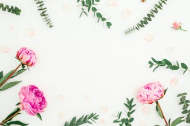 Pembe peonies, gül yaprakları ve beyaz arka plan okaliptüs dallarda oluşan çerçeve çiçek. Düz yatıyordu, en iyi görünümü