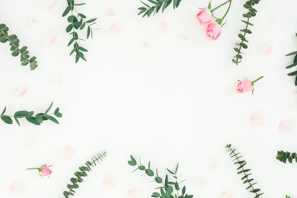 Pembe Gül Çiçek Okaliptüs Dalları Beyaz Arka Plan Üzerinde Çerçeve — Stok fotoğraf