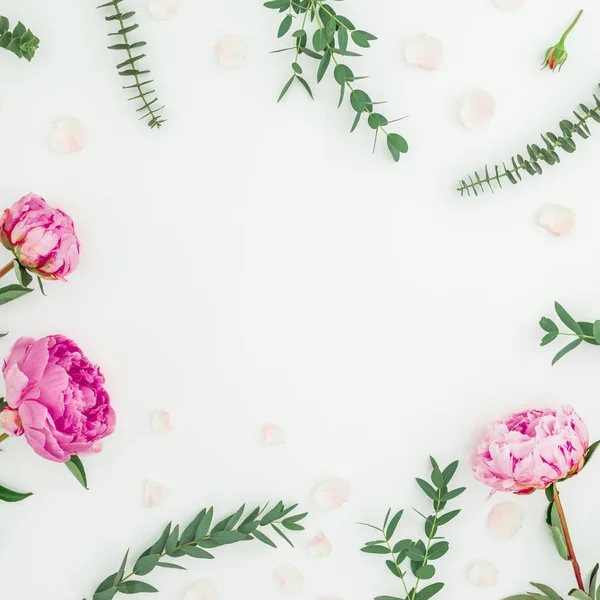 Цветочные Круглые Рамки Розовых Пионов Эвкалиптовых Ветвей Белом Фоне Плоский — стоковое фото