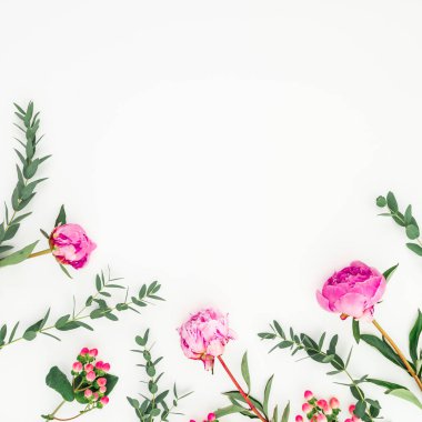 Pembe peonies, hypericum ve okaliptüs beyaz arka plan üzerinde oluşan çerçeve çiçek. Düz yatıyordu, en iyi görünümü