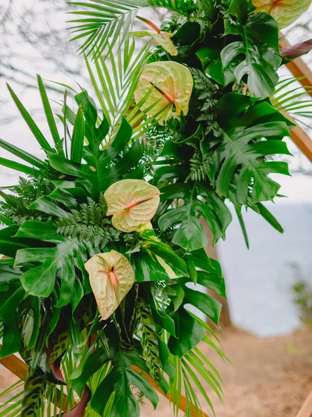 Blommig Dekoration För Bröllopsceremoni Trendiga Arch Med Vackra Blommor Och — Stockfoto