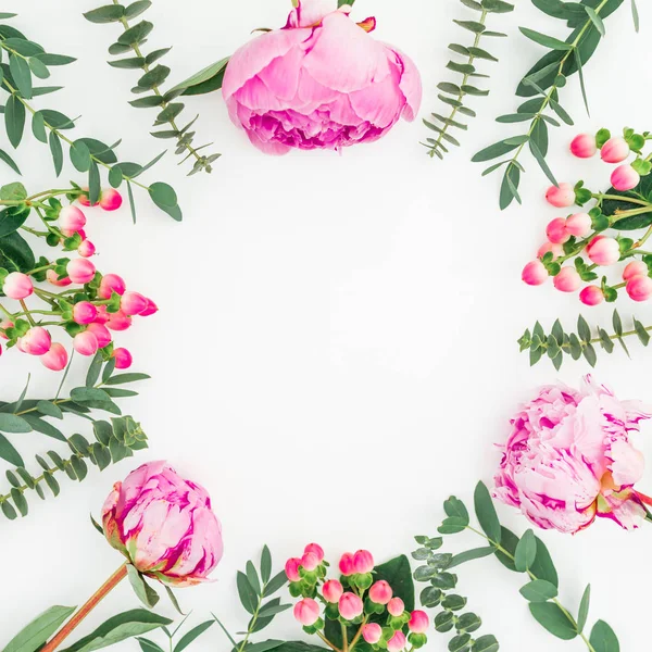 Blütenrahmen Aus Rosa Pfingstrosen Hypericum Und Eukalyptuszweigen Auf Weißem Hintergrund — Stockfoto