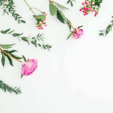 Çerçeve çiçek pembe peonies çiçekleri, hypericum yaptı ve okaliptüs dallarda arka plan beyaz. Düz yatıyordu, en iyi görünümü