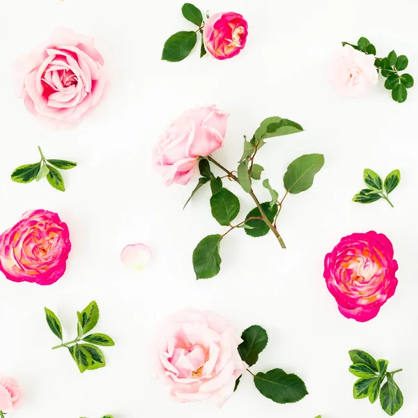 在白色背景查出的粉红色玫瑰花 平坦的平面 顶部视图 花卉质感 情人节作文 — 图库照片