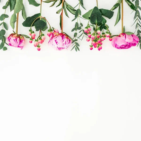 Květinové Hraniční Rám Růžové Pivoňky Hypericum Eukalyptu Bílém Pozadí Plochá — Stock fotografie