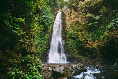Güçlü şelale Bali tropikal ormanda. Turizm için güzel yer