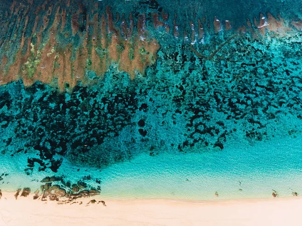 Playa Tropical Con Océano Fondo Vista Superior Vista Aérea — Foto de Stock