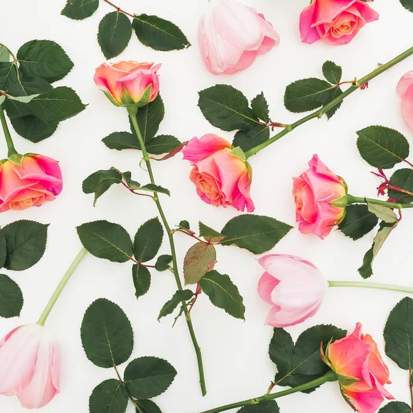 Цветочный Узор Цветов Роз Изолированы Белом Фоне Сочинение Дню Святого — стоковое фото