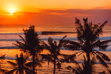 Sıcak gün batımı veya gündoğumu okyanus dalgaları ve Hindistan cevizi avuç içi ile