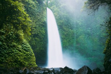 Bali güçlü şelale. Tropikal orman ve Nung Nung şelale