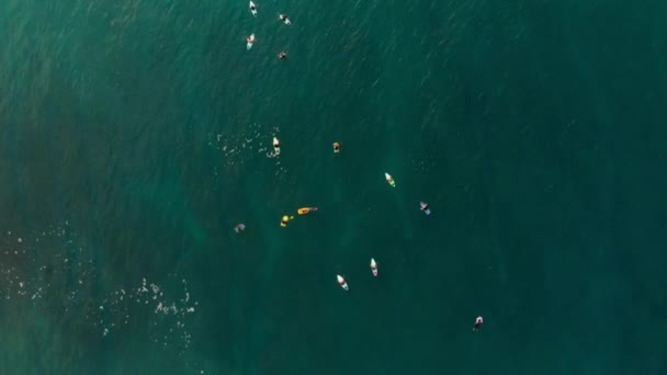 Vue Aérienne Avec Des Surfeurs Une Vague Tonneau Bleu Dans — Video