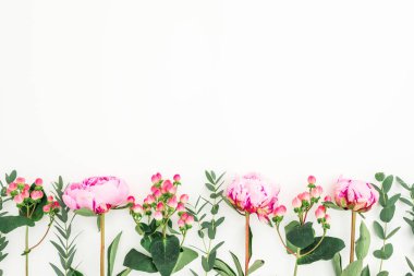 Pembe peonies, hypericum ve okaliptüs çerçeve çiçek beyaz arka plan üzerinde dalları. Düz yatıyordu, en iyi görünümü