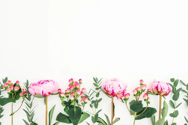 Цветочные Рамки Розовых Пионов Гиперикума Эвкалиптовых Ветвей Белом Фоне Плоский — стоковое фото