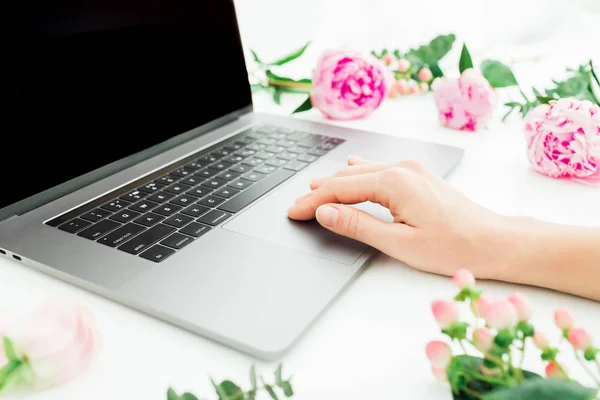 Freelancer woman working on laptop. Hand with laptop and pink flowers and eucalyptus branches on white background. Flat lay. Top view