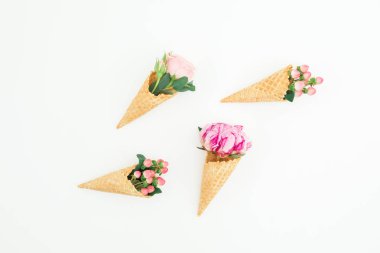 Pembe peonies, gül yaprakları ve beyaz arka plan üzerinde gözleme koniler ile çiçek kavramı. Düz yatıyordu, en iyi görünümü