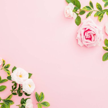 Gül ve pastel pembe arka plan üzerinde yaprak çerçeve çiçek. Düz yatıyordu, en iyi görünümü.