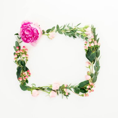 Pembe çiçekler, hypericum ve okaliptüs çerçeve çiçek beyaz arka plan üzerinde dalları. Düz yatıyordu, en iyi görünümü