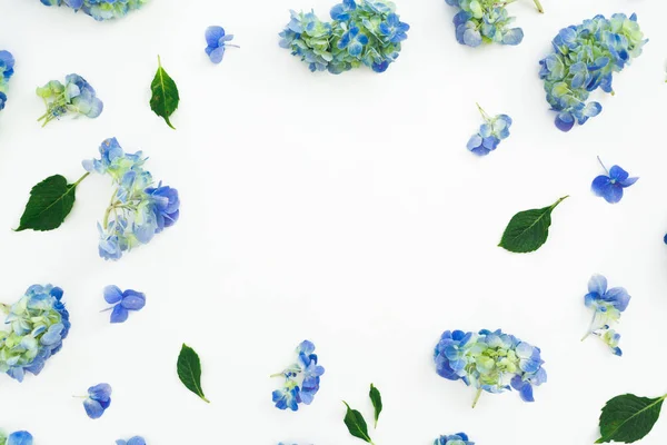 Květinový Rámeček Modré Hortenzie Květů Listů Bílém Pozadí Pohled Ploché — Stock fotografie