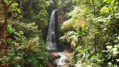 Şelale ve orman Bali, Endonezya. şelale havadan görünümü