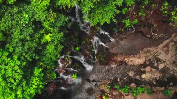 Cascada Cascada Con Luz Solar Bosque Tropical Bali Indonesia Vista — Vídeo de stock