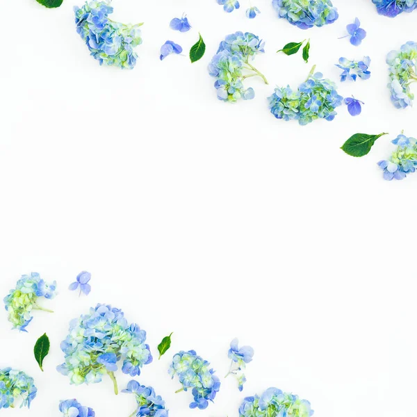 Floral Frame Hydrangea Flowers Leaves White Background Flat Lay Top — Stock Photo, Image