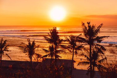 Sıcak gün batımı veya gündoğumu ideal okyanus dalgaları ve Hindistan cevizi avuç içi ile