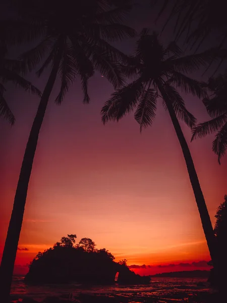 Palmeras Coco Puesta Sol Brillante Playa Con Océano — Foto de Stock