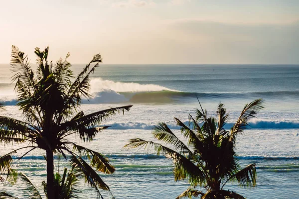 大きな海の波とヤシの木 サーフィンの波 — ストック写真